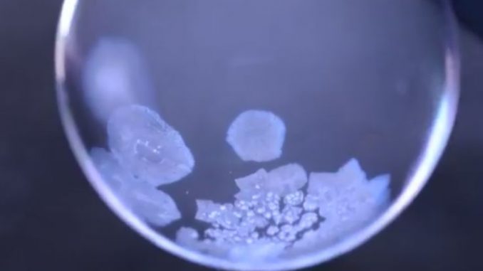 シャボン玉が凍る決定的瞬間 極寒の北海道が起こした神秘的で面白い現象 Amusingly おもしろ動画サイト