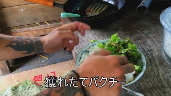 廃バスの中でエスニック料理を堪能