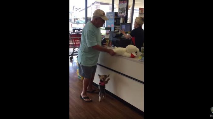 ぬいぐるみの支払が終わるのを心待ちにするワンちゃん