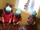 3人の女の子たちが、マリンバでドラクエIIIゾーマ戦を演奏