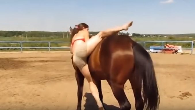 なかなか自分に乗ることができない女性 その時馬が取った行動が素晴らし過ぎる Amusingly おもしろ動画サイト