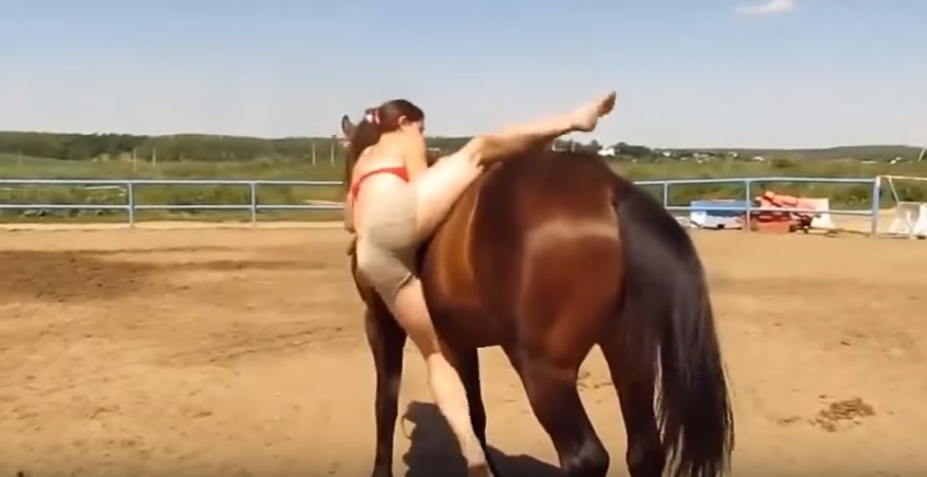 なかなか自分に乗ることができない女性 その時馬が取った行動が素晴らし過ぎる Amusingly おもしろ動画サイト